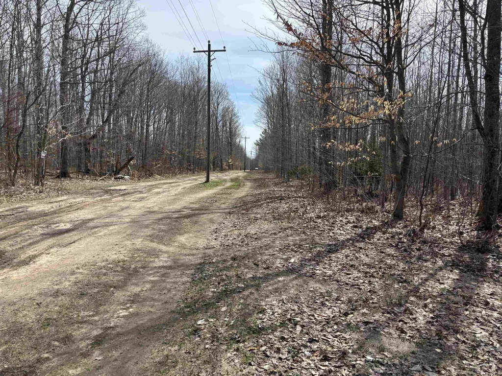 4856 Star Chief Trail Mancelona Township MI 49659