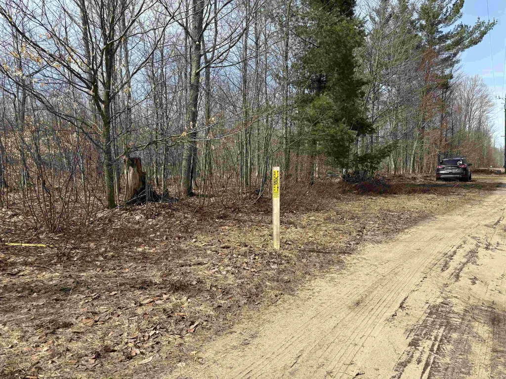 4856 Star Chief Trail Mancelona Township MI 49659