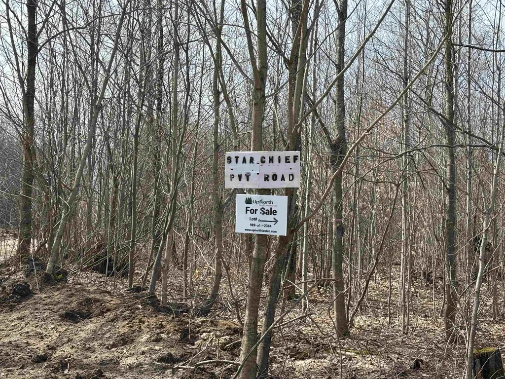 4856 Star Chief Trail Mancelona Township MI 49659