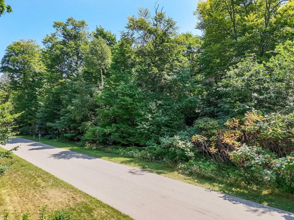 11648 Willow Point Peninsula Township MI 49686