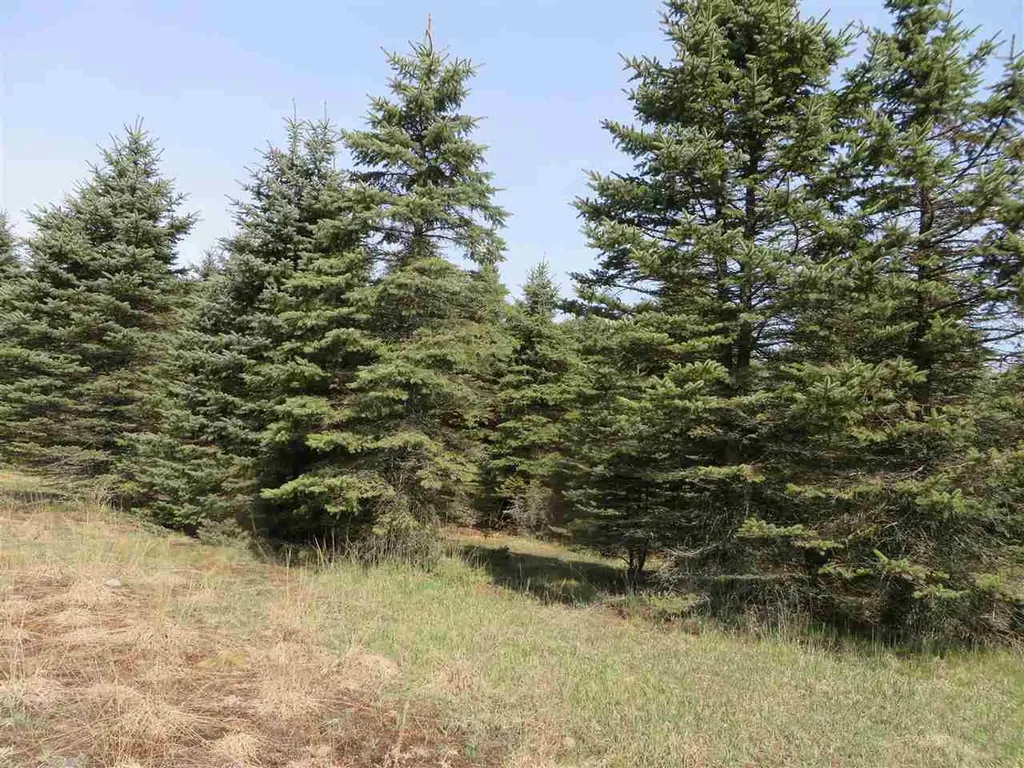 4 Spruce Hollow Trace Fife Lake Township MI 49633