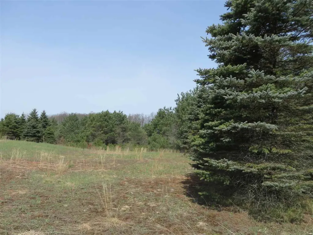 4 Spruce Hollow Trace Fife Lake Township MI 49633