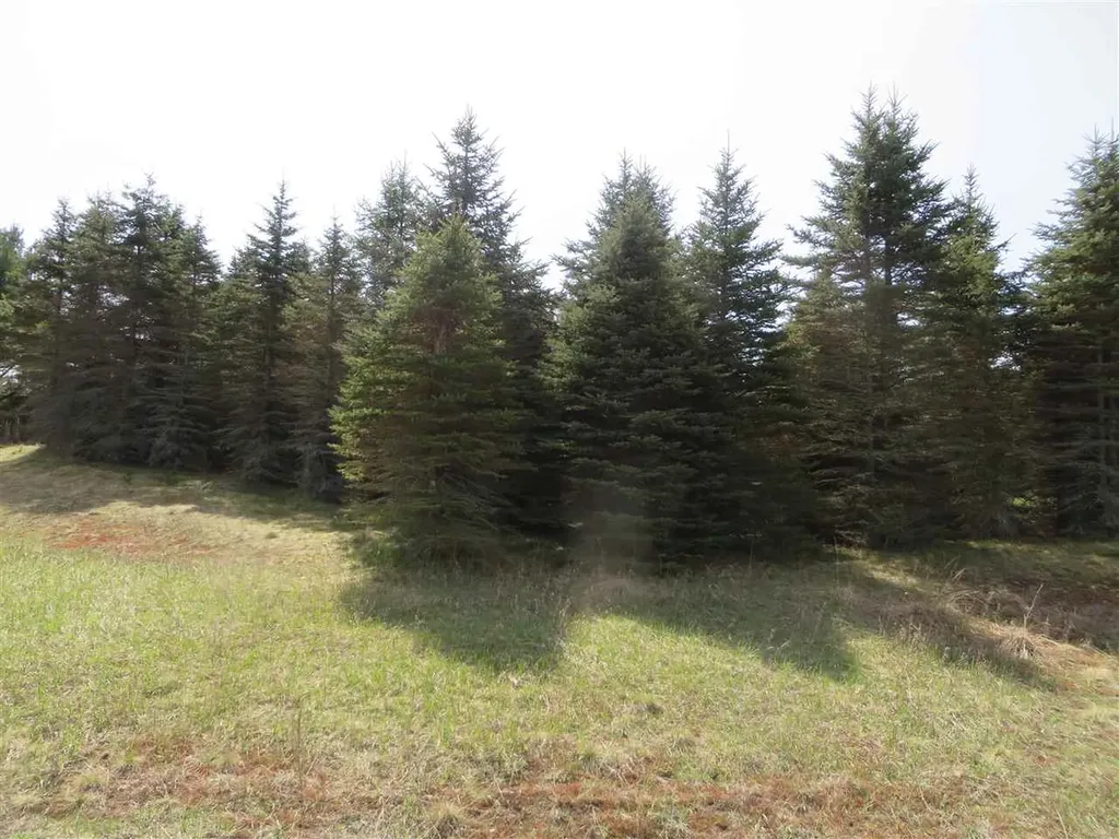 4 Spruce Hollow Trace Fife Lake Township MI 49633