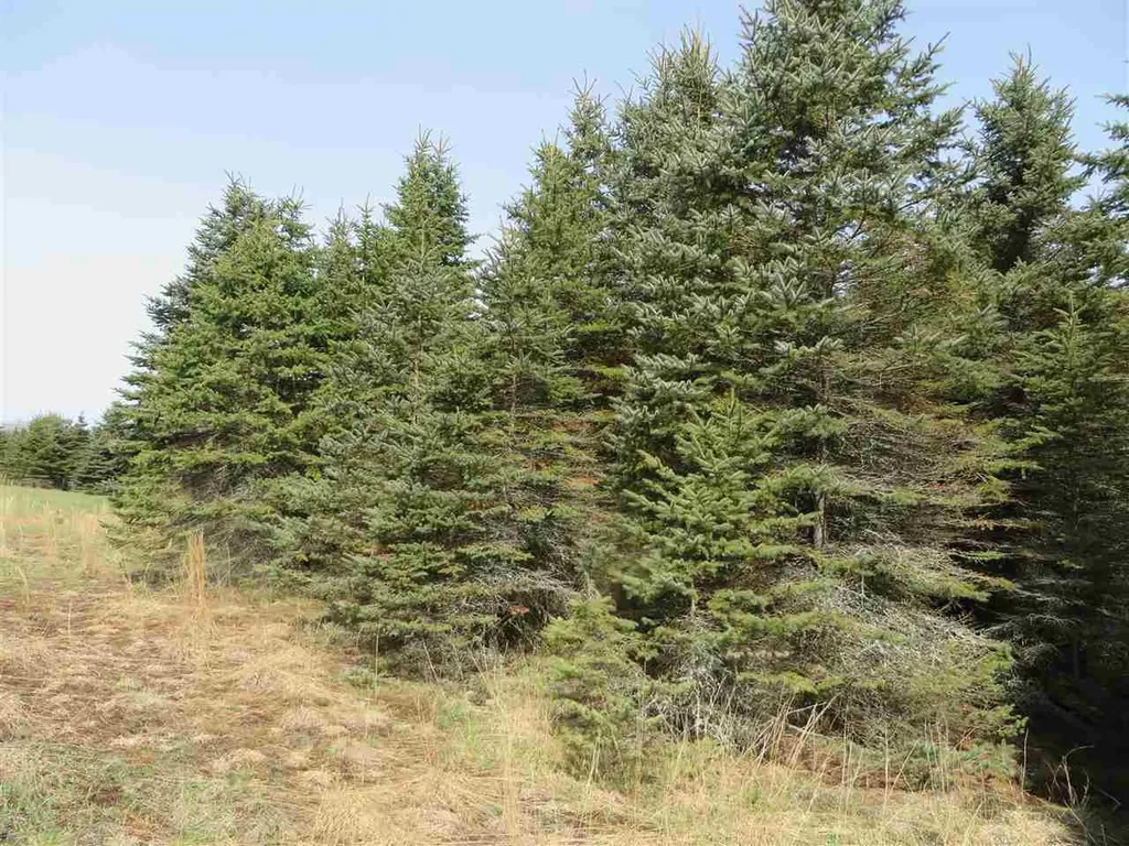 4 Spruce Hollow Trace Fife Lake Township MI 49633