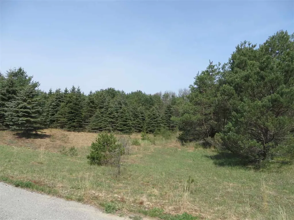 4 Spruce Hollow Trace Fife Lake Township MI 49633