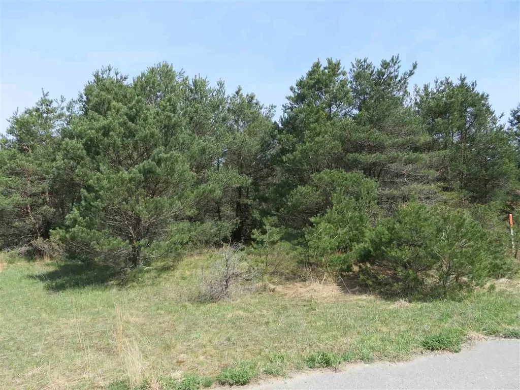 4 Spruce Hollow Trace Fife Lake Township MI 49633