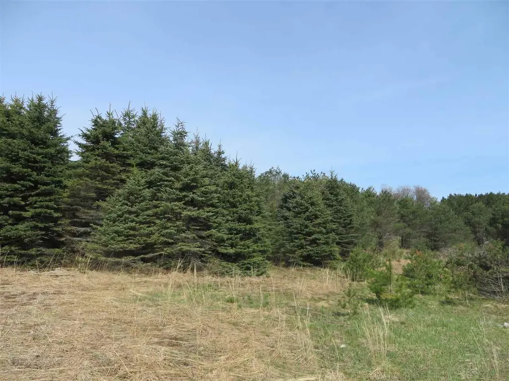 4 Spruce Hollow Trace Fife Lake Township MI 49633