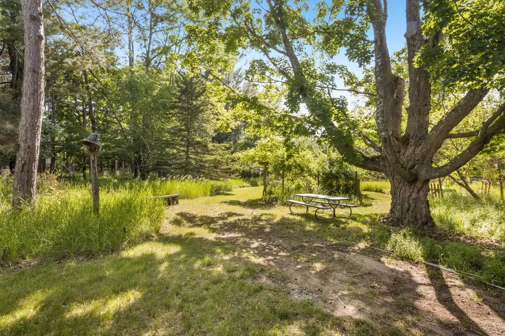 11256 S Lacore Road Empire Township MI 49630