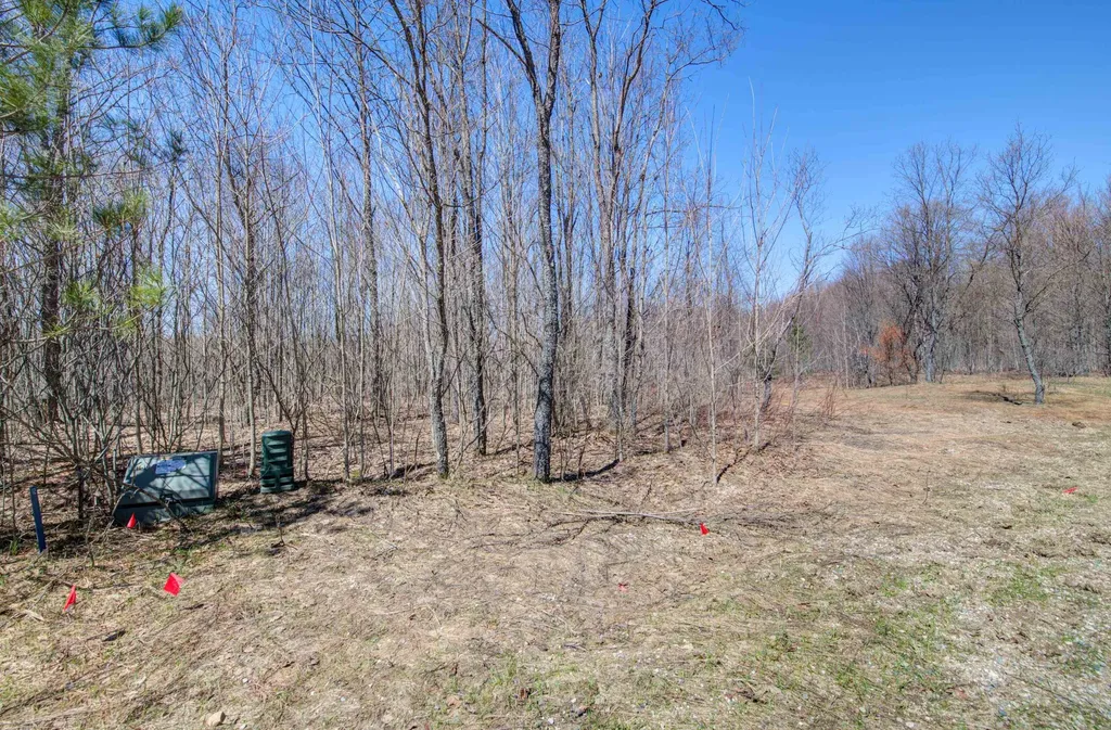 171 NE Kleehammer Club Drive Excelsior Township MI 49646