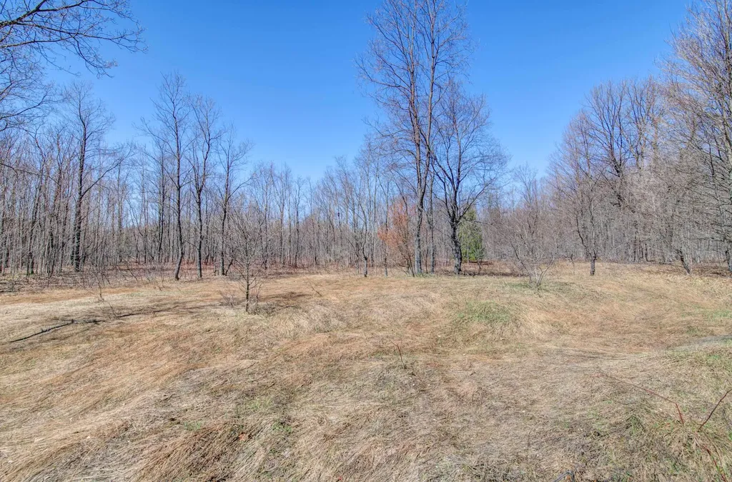 171 NE Kleehammer Club Drive Excelsior Township MI 49646