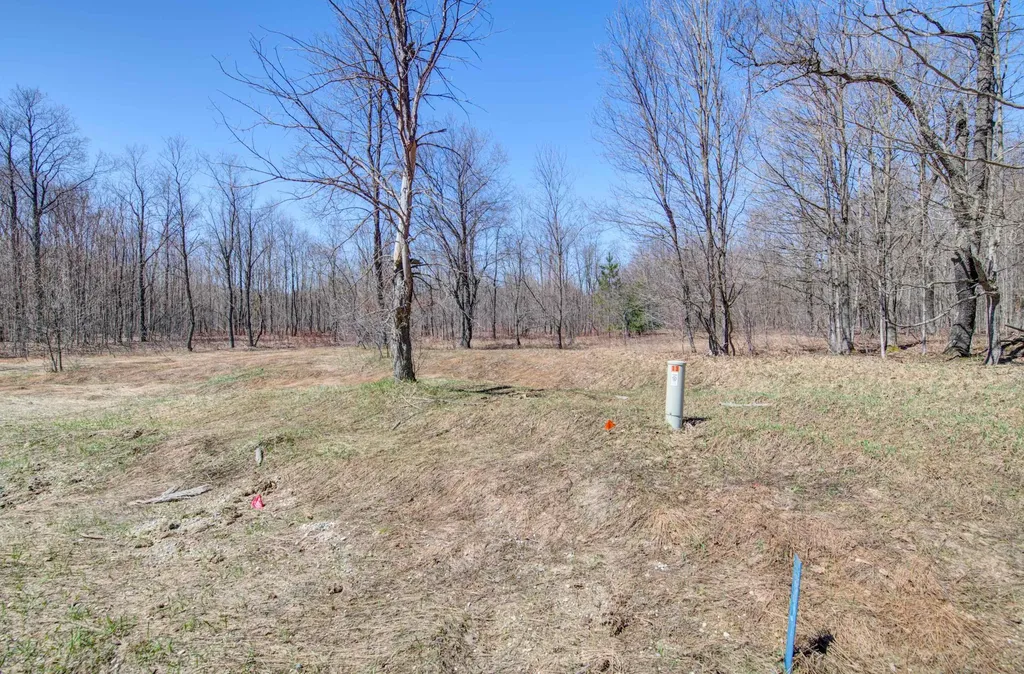 171 NE Kleehammer Club Drive Excelsior Township MI 49646