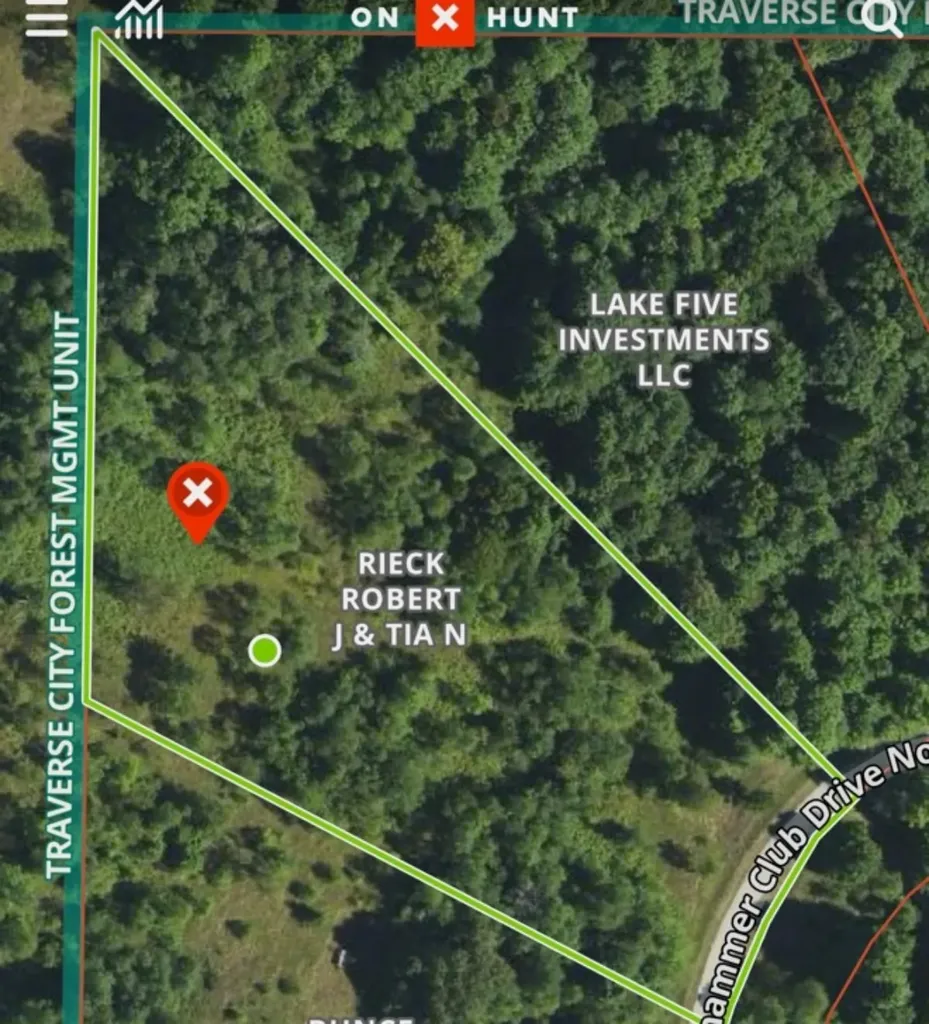 171 NE Kleehammer Club Drive Excelsior Township MI 49646