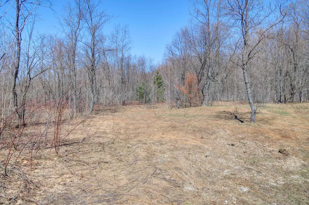 171 NE Kleehammer Club Drive Excelsior Township MI 49646