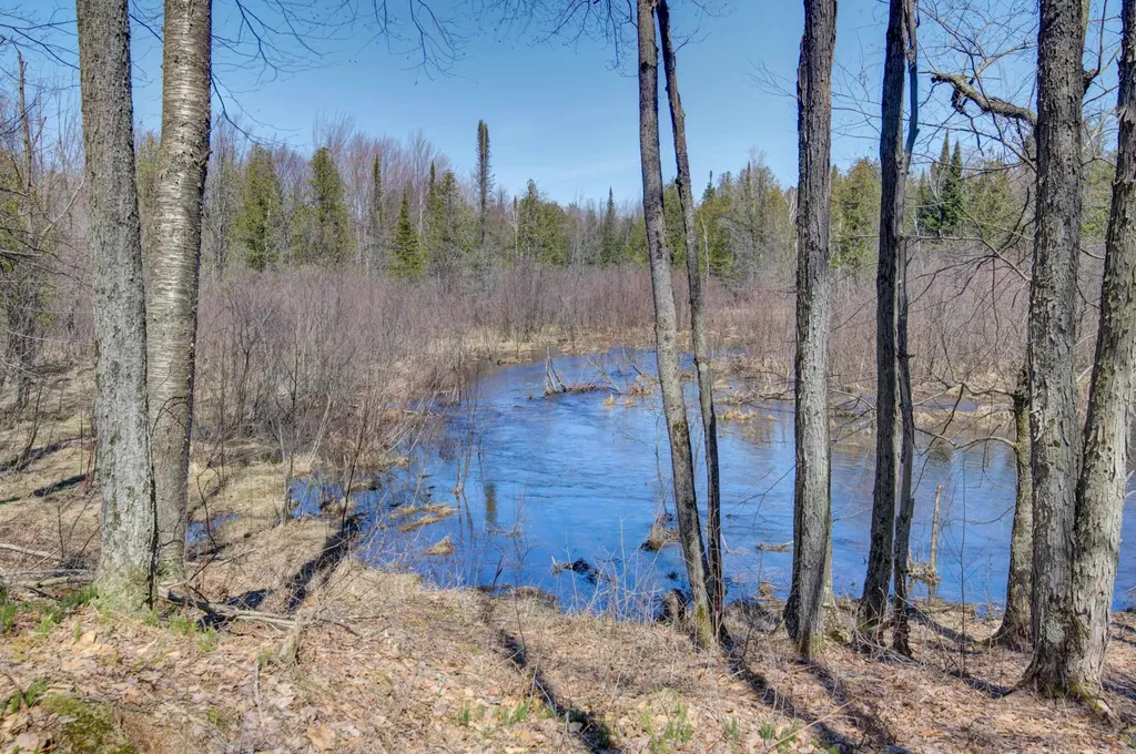171 NE Kleehammer Club Drive Excelsior Township MI 49646