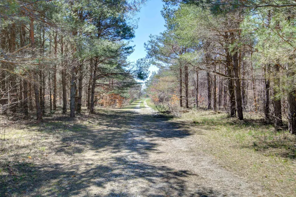171 NE Kleehammer Club Drive Excelsior Township MI 49646