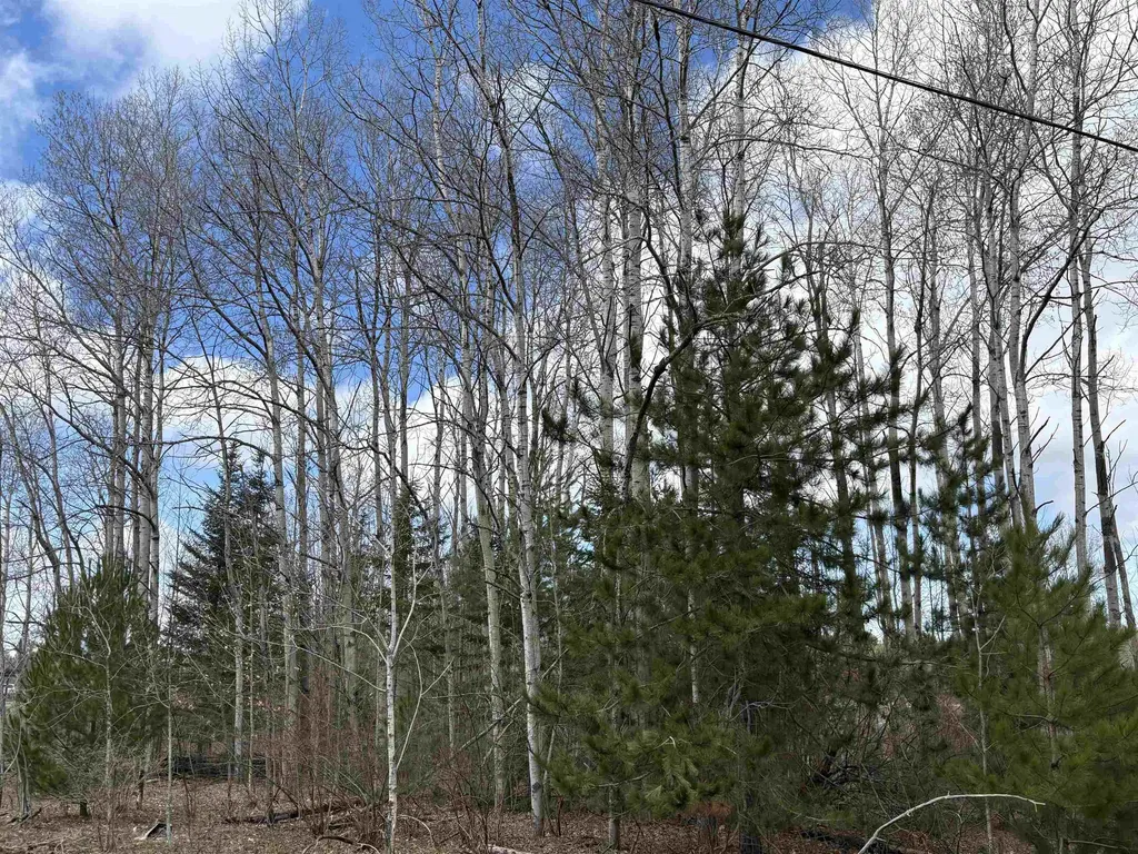 2450 N Marshall Road Benzonia Township MI 49640