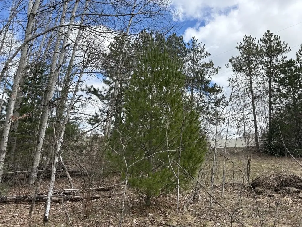 2450 N Marshall Road Benzonia Township MI 49640