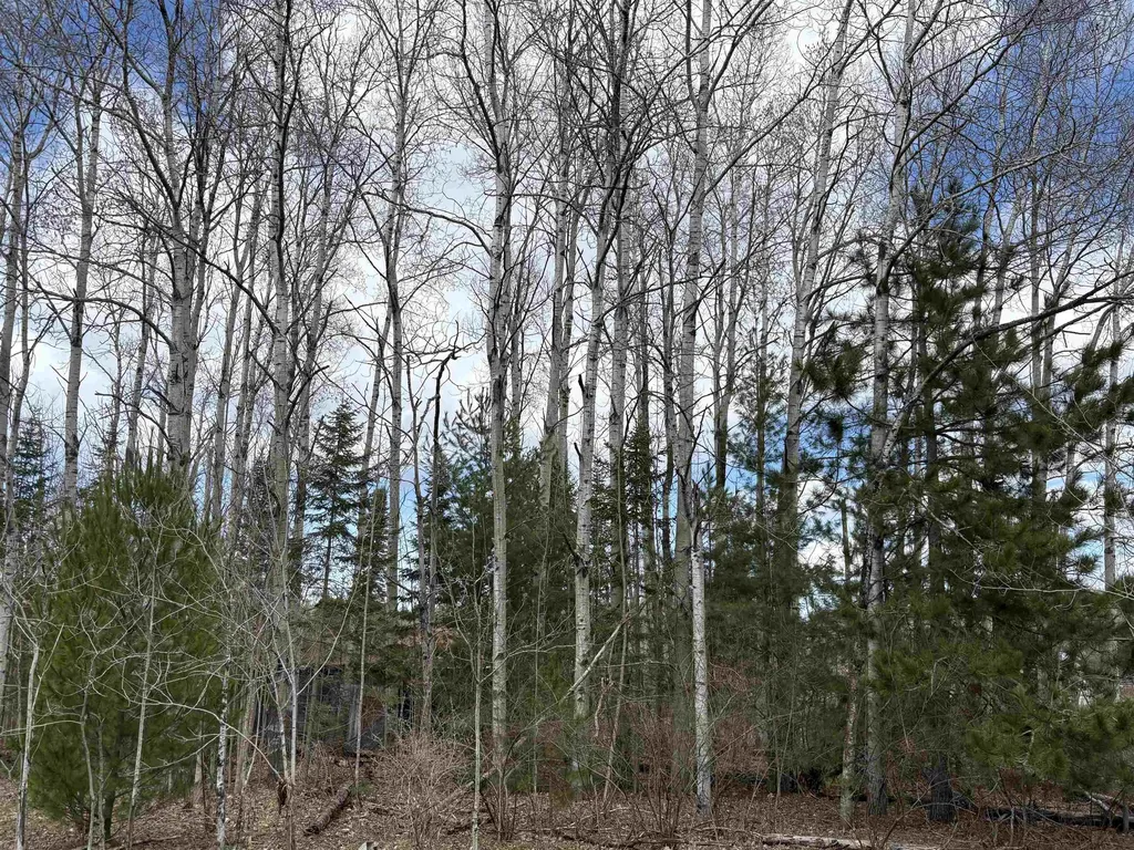 2450 N Marshall Road Benzonia Township MI 49640