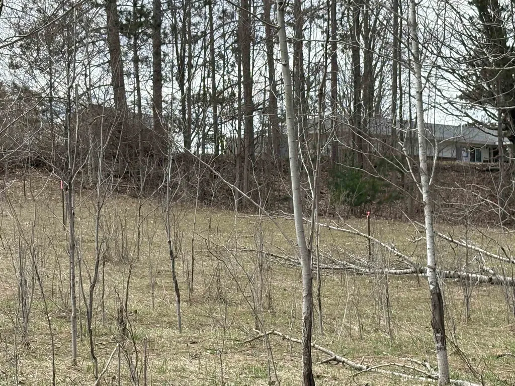 2450 N Marshall Road Benzonia Township MI 49640
