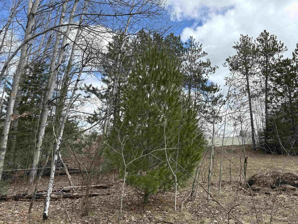 2450 N Marshall Road Benzonia Township MI 49640