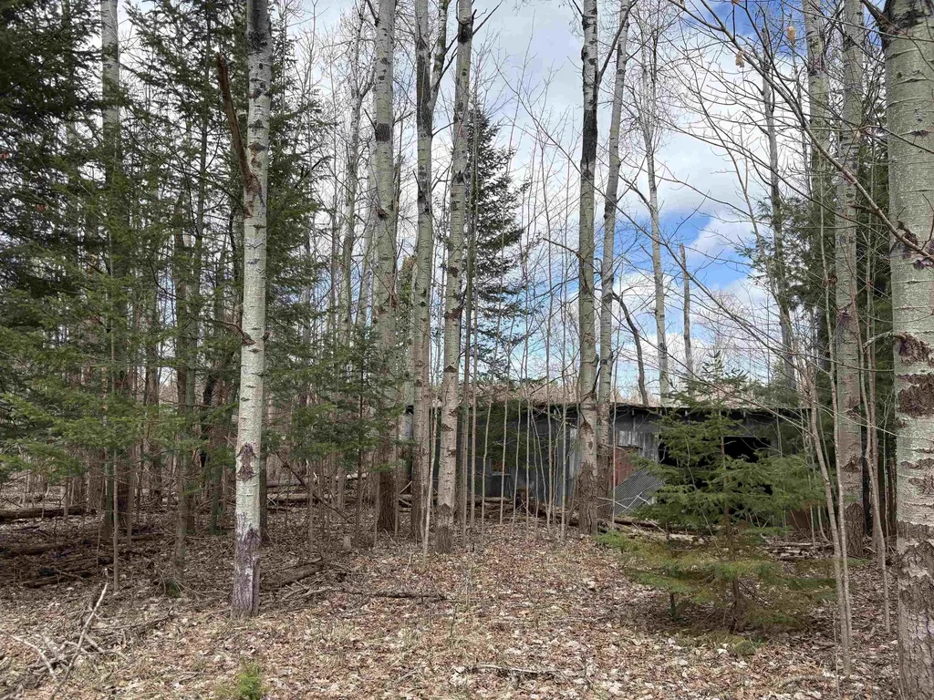 2450 N Marshall Road Benzonia Township MI 49640
