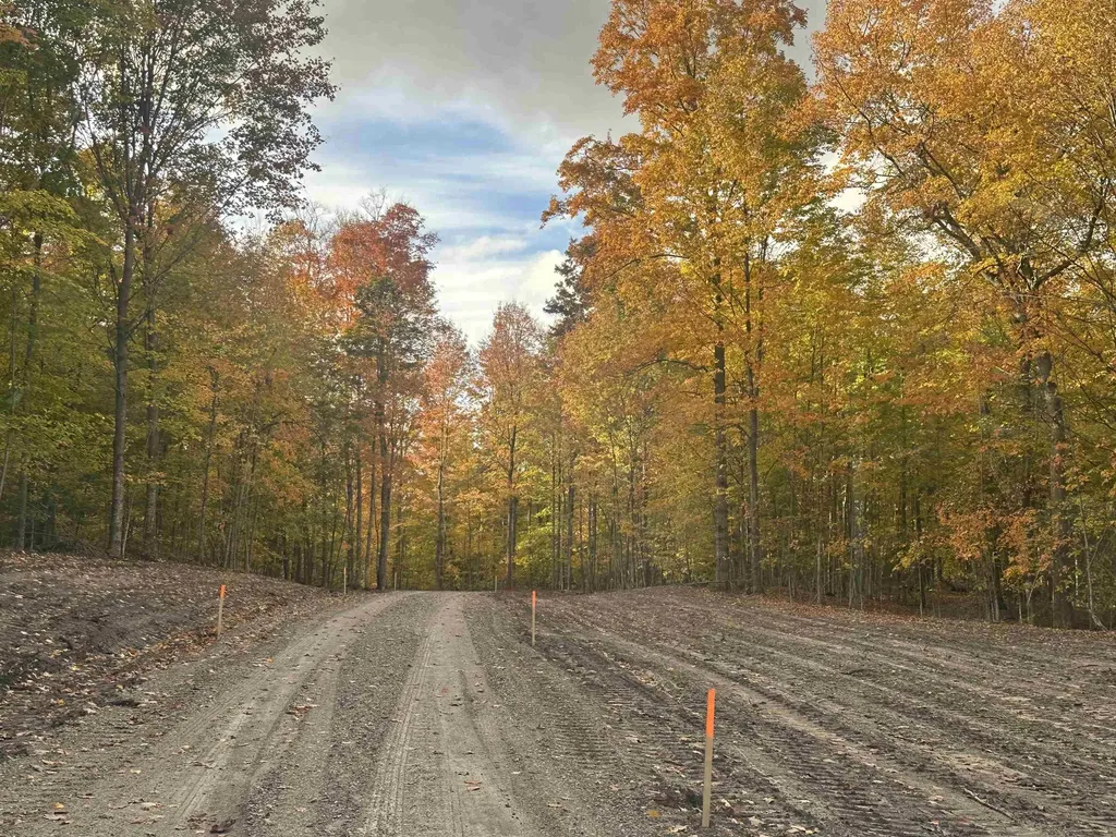 11605 S Tower Kasson Township MI 49664