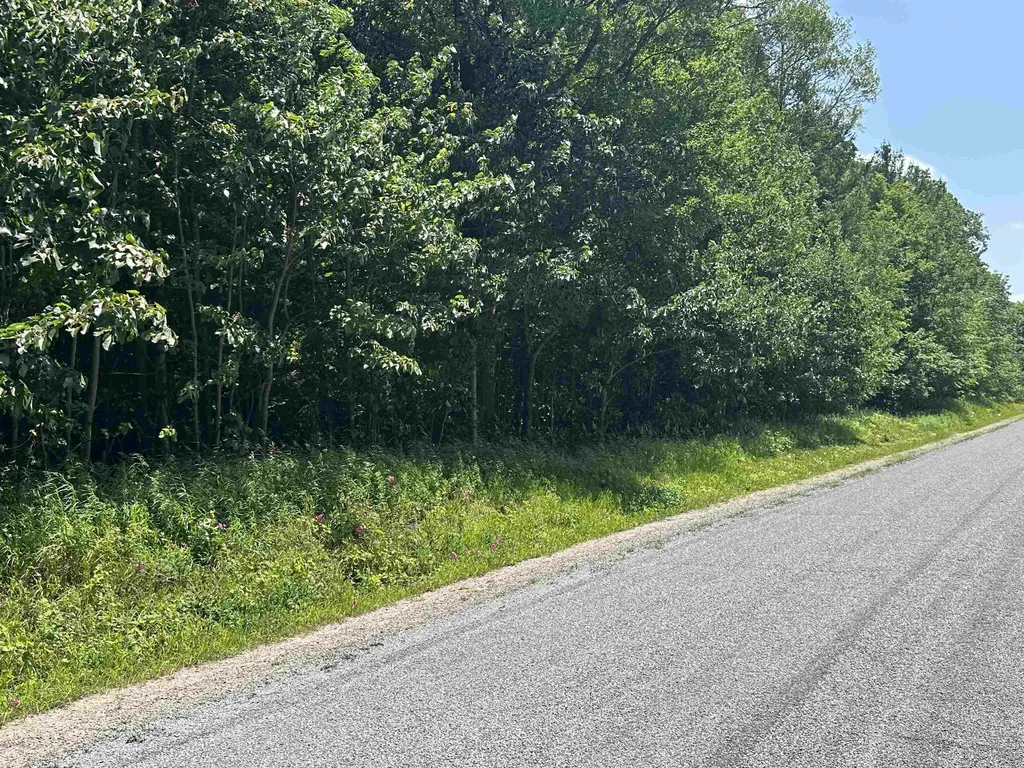11605 S Tower Kasson Township MI 49664