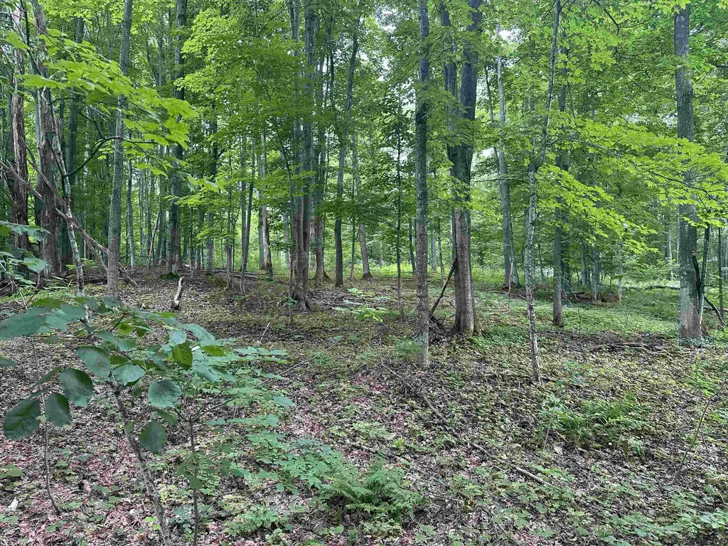 11605 S Tower Kasson Township MI 49664