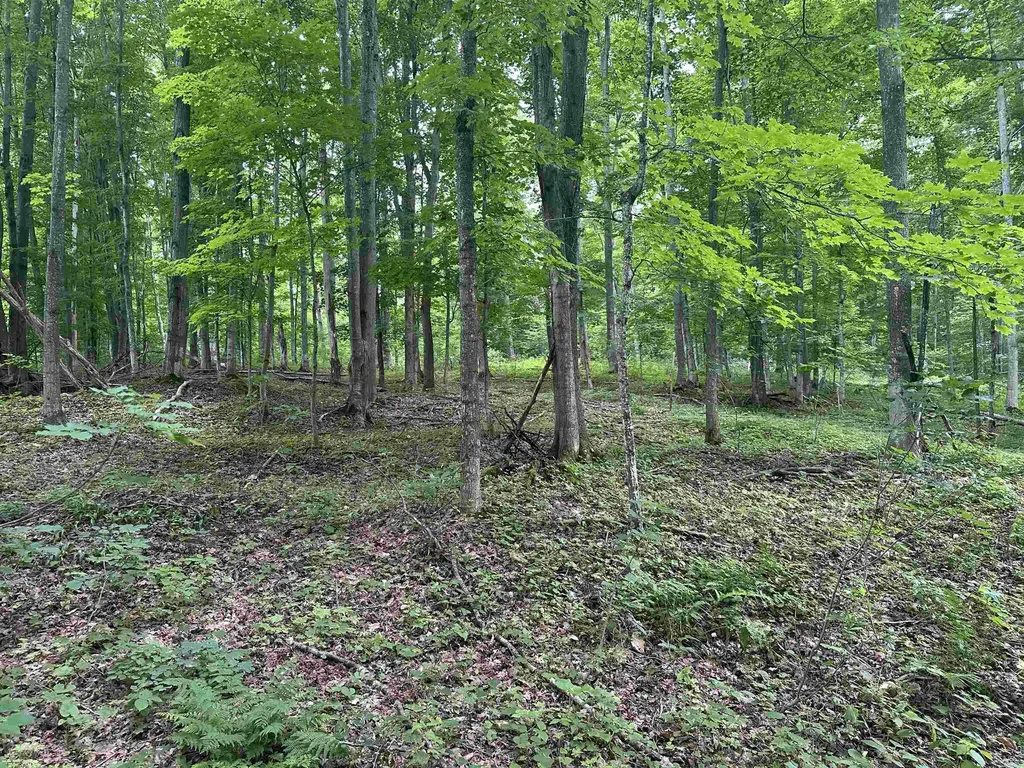 11605 S Tower Kasson Township MI 49664