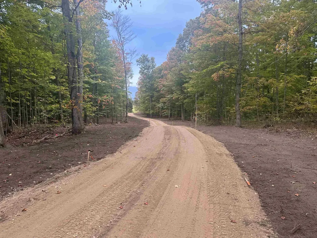 11605 S Tower Kasson Township MI 49664