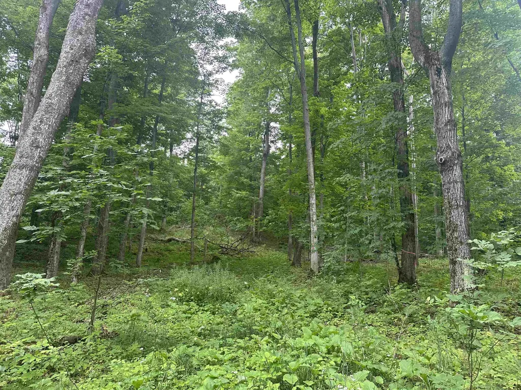 11605 S Tower Kasson Township MI 49664