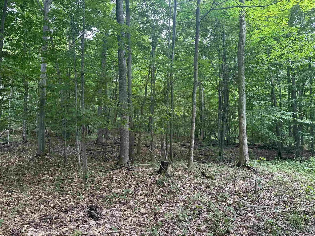 11605 S Tower Kasson Township MI 49664