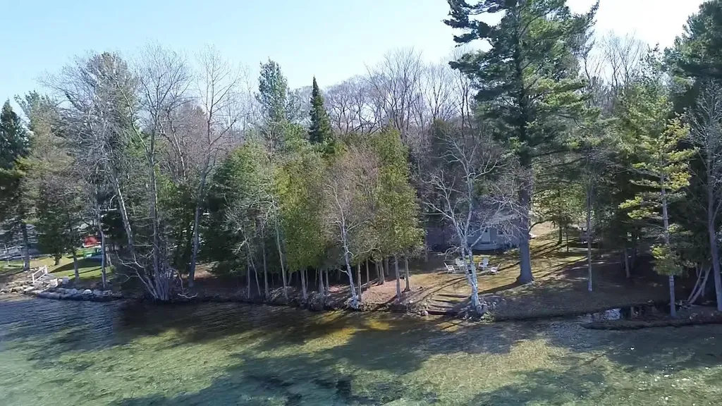 3037 Willow Street Central Lake Township MI 49622