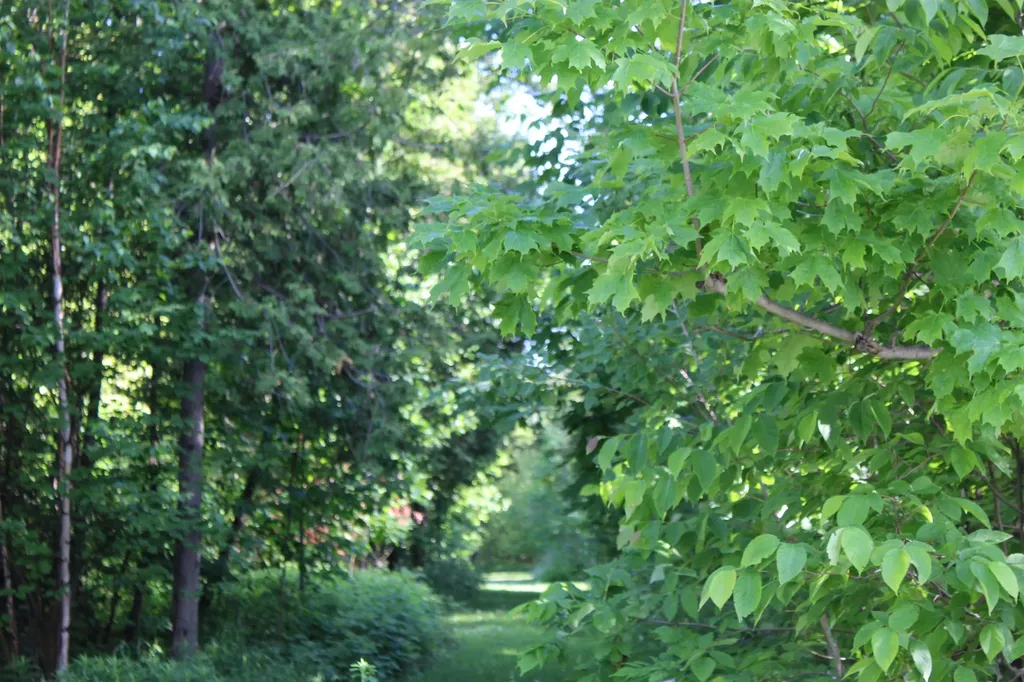 15985 Waters Edge Peninsula Township MI 49686