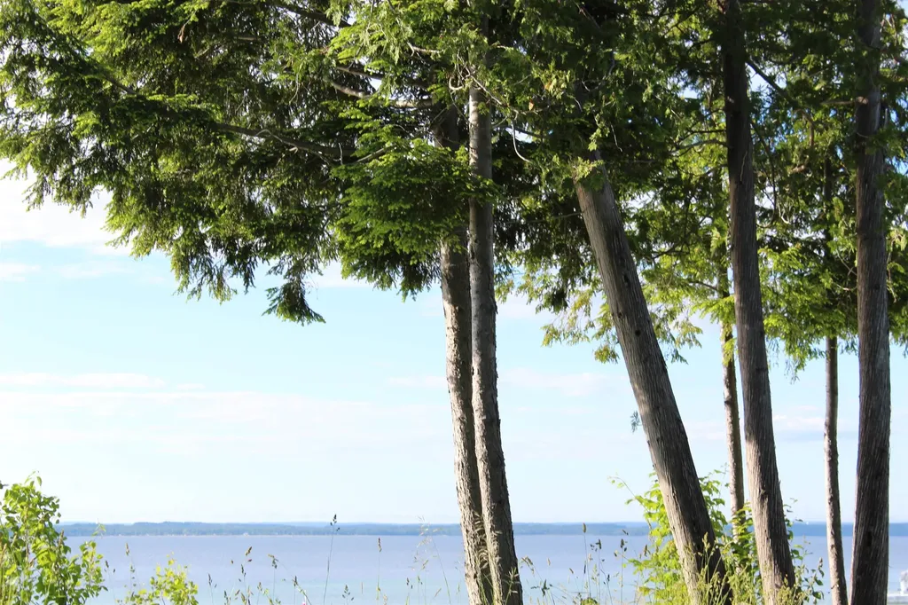 15985 Waters Edge Peninsula Township MI 49686