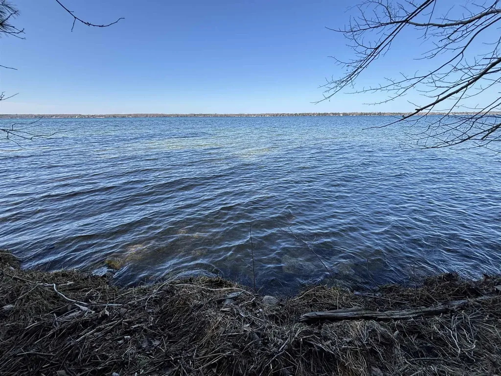 0 Willow Street Central Lake Township MI 49622