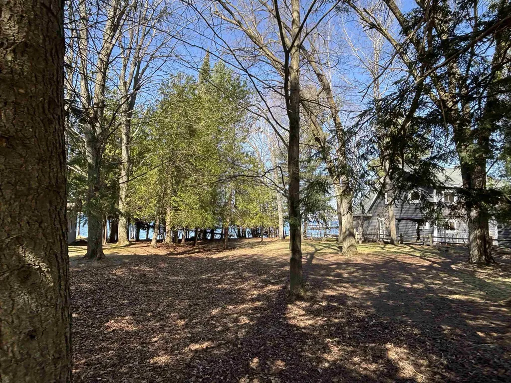 0 Willow Street Central Lake Township MI 49622