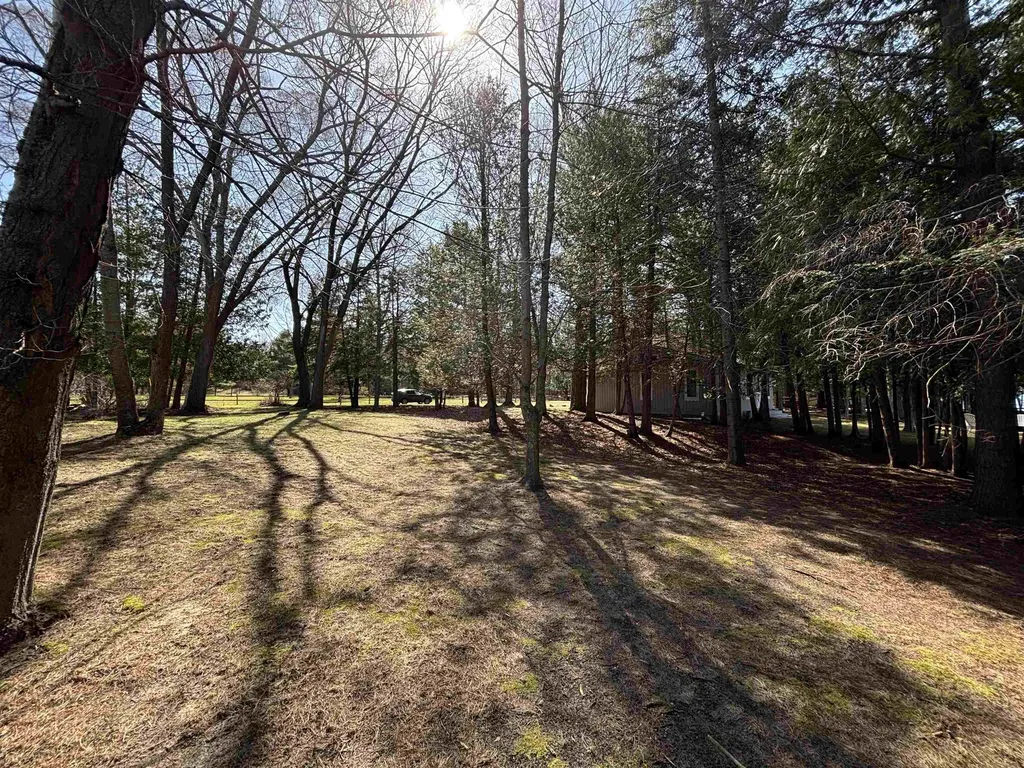 0 Willow Street Central Lake Township MI 49622