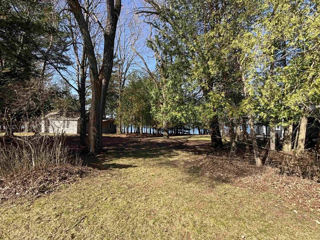 0 Willow Street Central Lake Township MI 49622