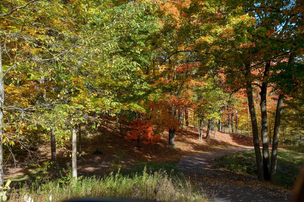 Cross Country Trail East Bay Township MI 49696