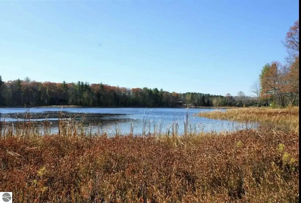 312 Blue Heron Drive Orange Township MI 49646