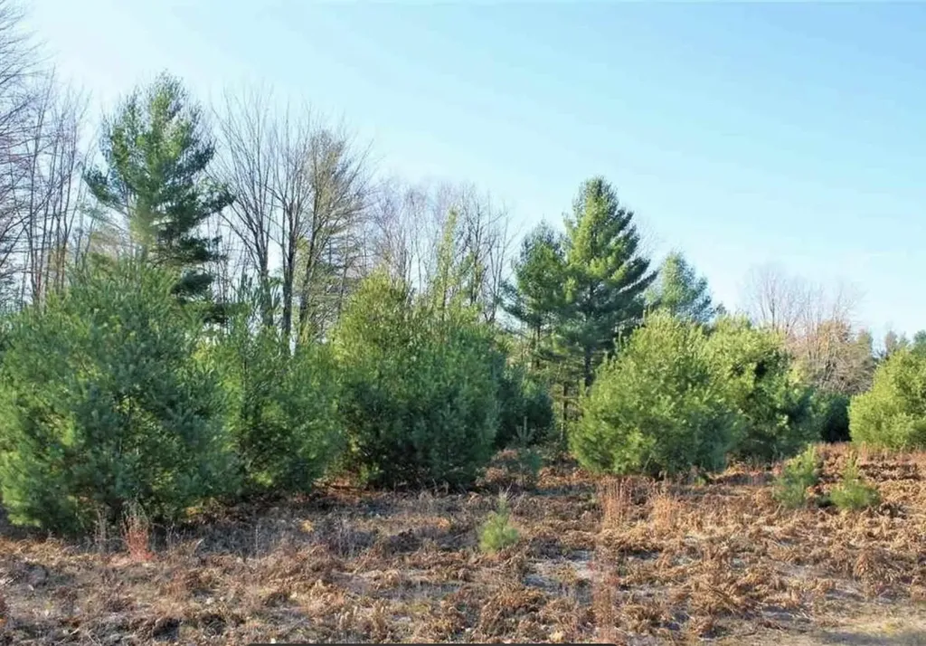 312 Blue Heron Drive Orange Township MI 49646