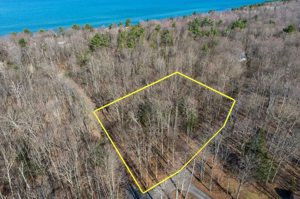 #12 Aspen Trail Torch Lake Township MI 49648