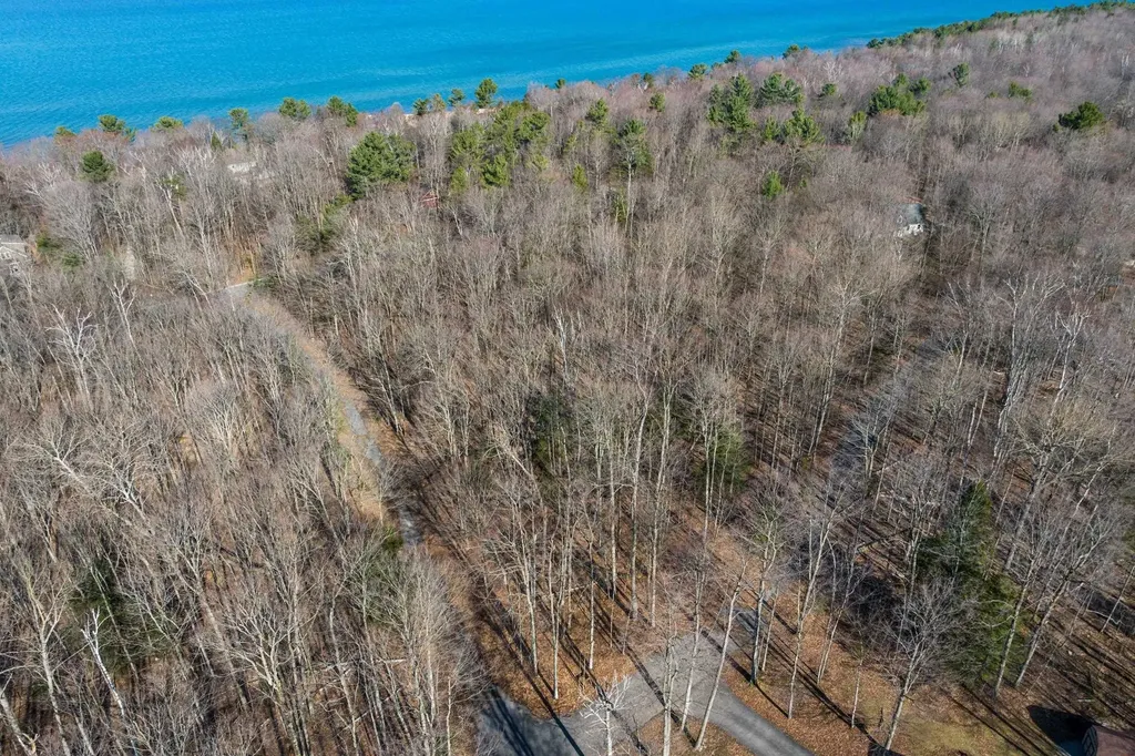 #12 Aspen Trail Torch Lake Township MI 49648