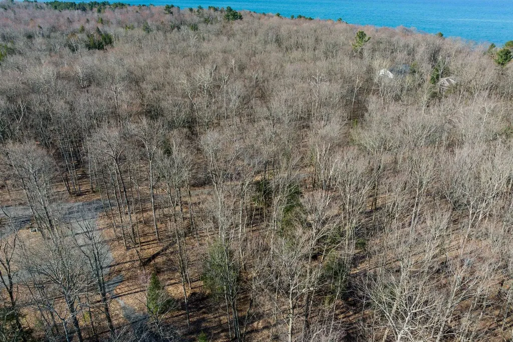 #12 Aspen Trail Torch Lake Township MI 49648