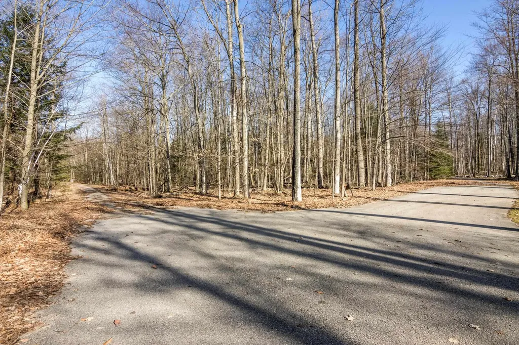 #12 Aspen Trail Torch Lake Township MI 49648