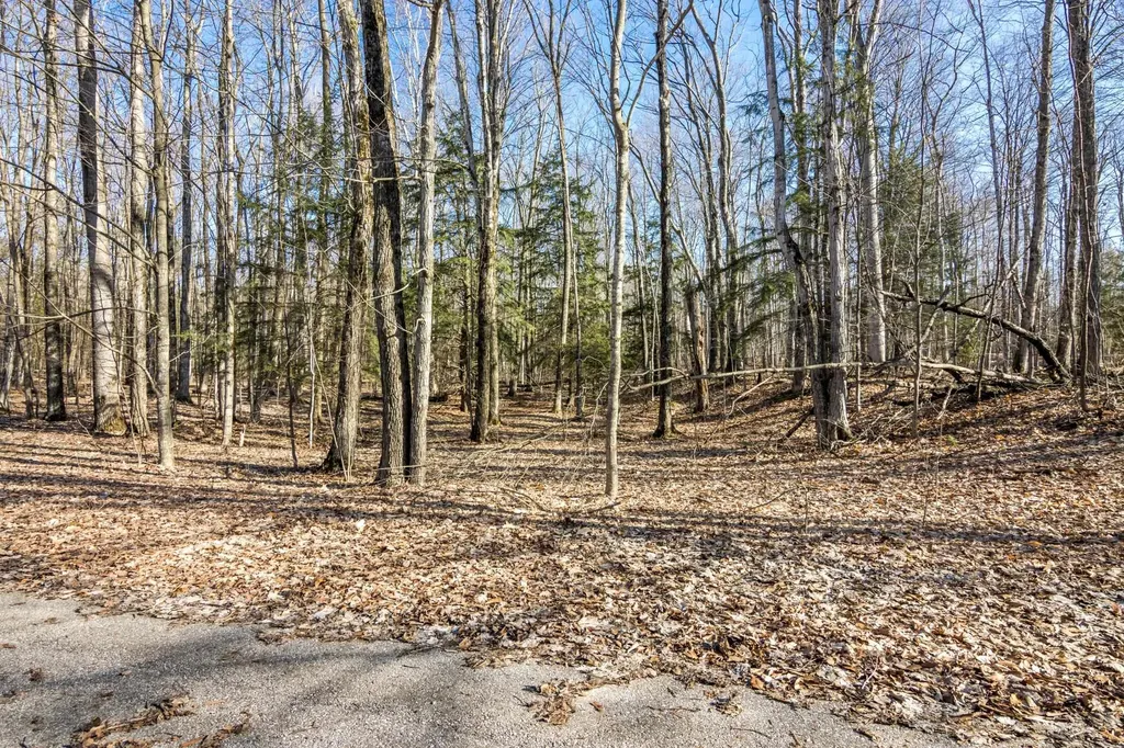 #12 Aspen Trail Torch Lake Township MI 49648
