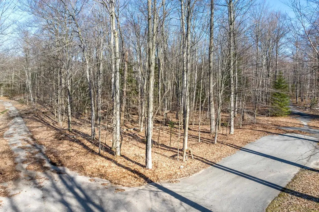 #12 Aspen Trail Torch Lake Township MI 49648