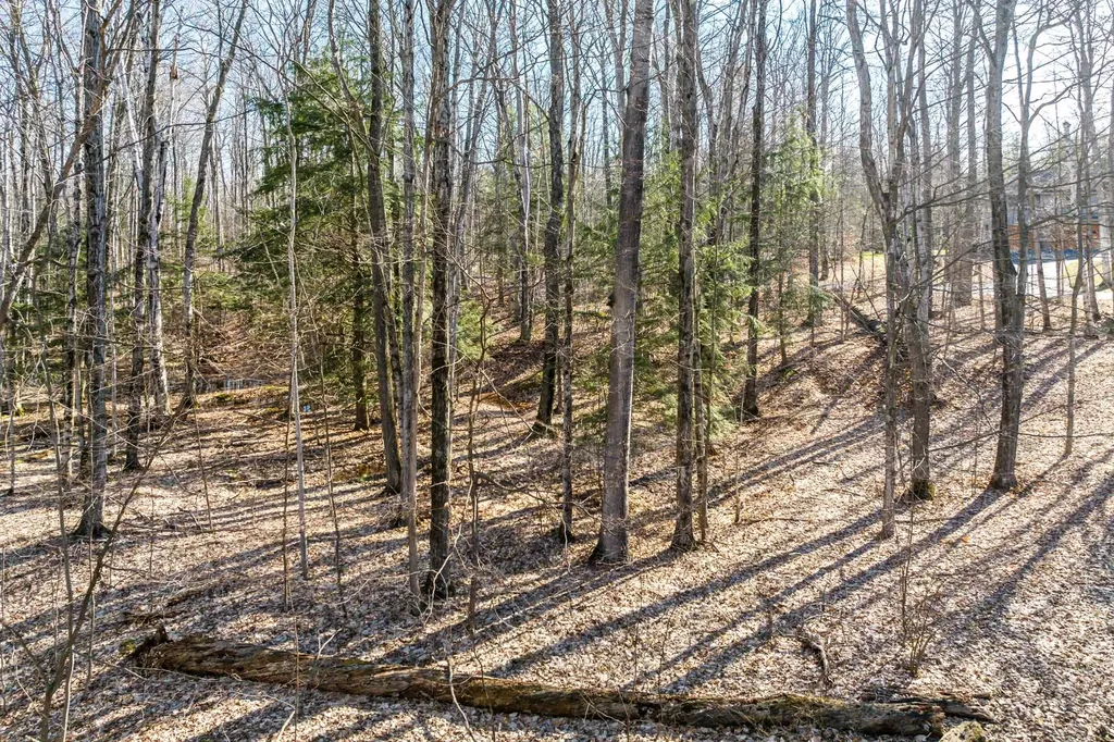 #12 Aspen Trail Torch Lake Township MI 49648