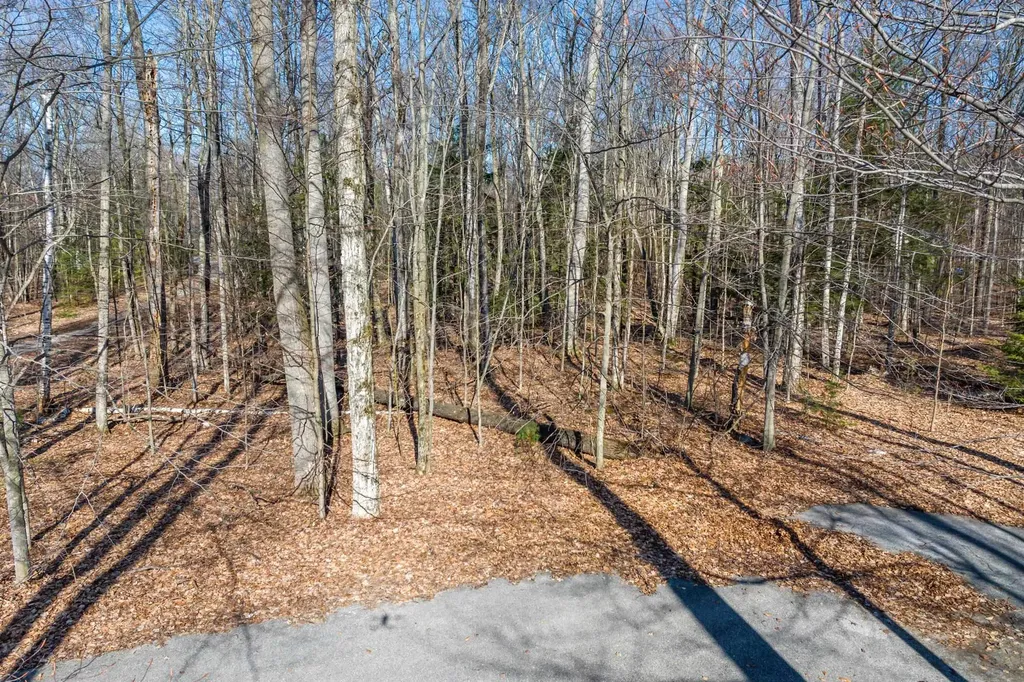 #12 Aspen Trail Torch Lake Township MI 49648
